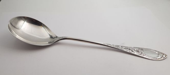 Hovedbilde Drage: Kompottskje 22,5 cm